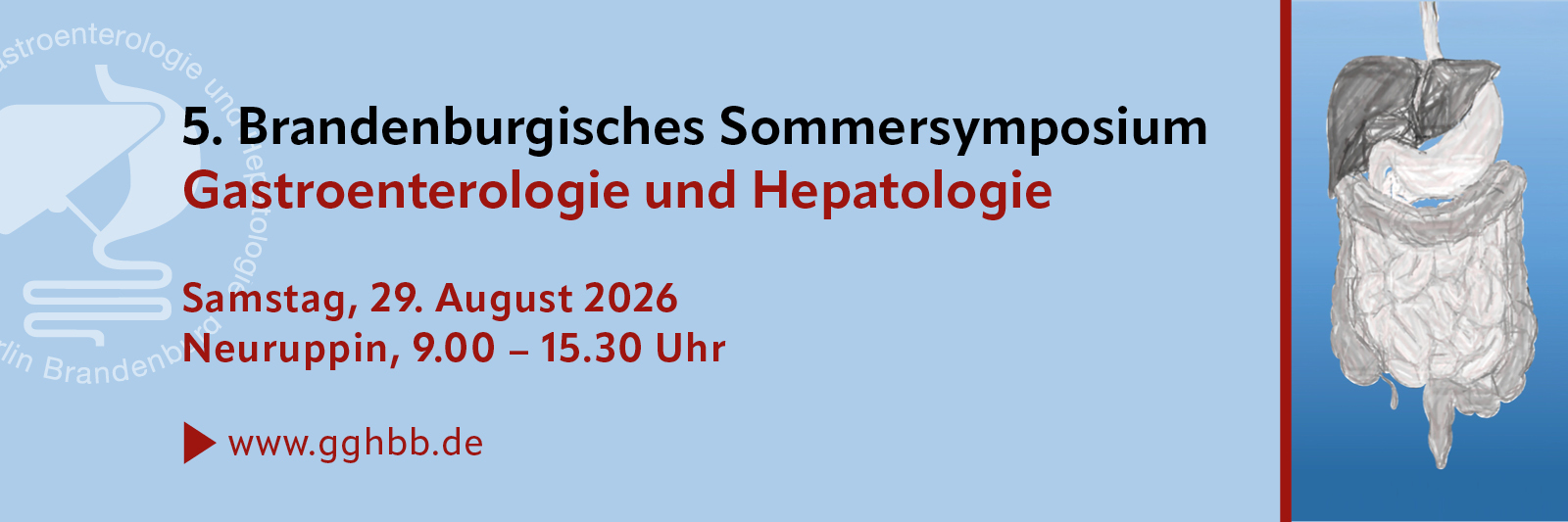 5. Brandenburgische Sommersymposium Gastroenterologie und Hepatologie, 29. August 2026 ©COCS GmbH